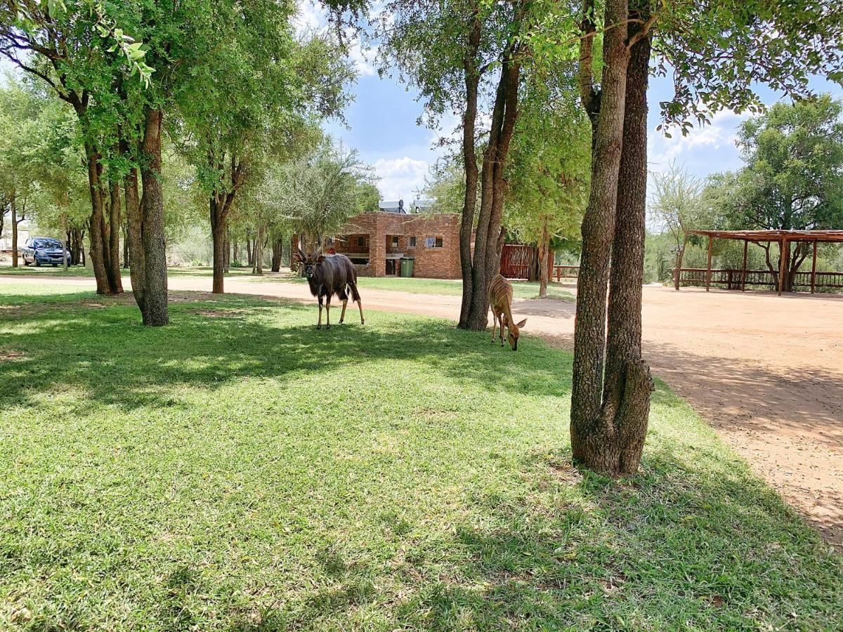 Tshikwalo Game Lodge Klipdrift 外观 照片